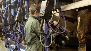 Les éleveurs qui développent leur production et ceux non issus du milieu agricole ont une vision plus positive de l'avenir, selon les derniers résultats du baromètre social du Cniel. Les éleveurs qui développent leur production et ceux non issus du milieu agricole ont une vision plus positive de l'avenir, selon les derniers résultats du baromètre social du Cniel.